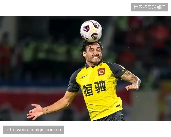德夫林的入选将增强澳大利亚中场防守硬度,为后防线提供更多保护。 德夫林的入选将增强澳大利亚中场防守硬度,为后防线提供更多保护。