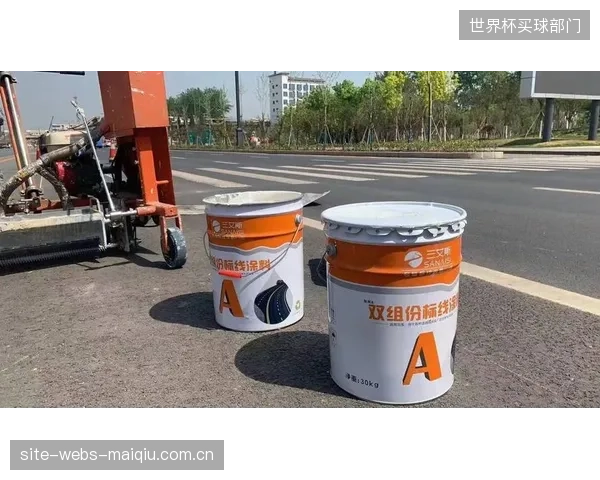 2026年第一季度，国产双组份标线材料已占据国内新增市场份额的30%，正迫使进口品牌降价